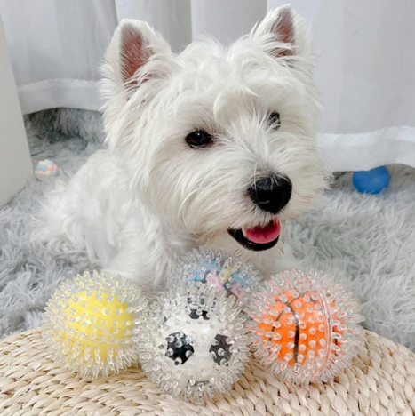 Pelota Para Perros Erizo Con Sonido